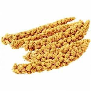 İthal Sarı Dal Darı 150gr.