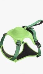 Buddy&Co Otomatik Şerit Gezdirmeli Lüx Göğüs Tasması (M) 3 Renk