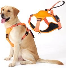Buddy&Co Otomatik Şerit Gezdirmeli Lüx Göğüs Tasması (M) 3 Renk