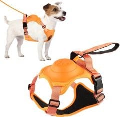 Buddy&Co Otomatik Şerit Gezdirmeli Lüx Göğüs Tasması (M) 3 Renk