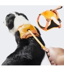 Buddy&Co Otomatik Şerit Gezdirmeli Lüx Göğüs Tasması (XL) 3 Renk