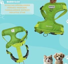 Buddy&Co Şerit Gezdirmeli Lüx Göğüs Tasması (S)