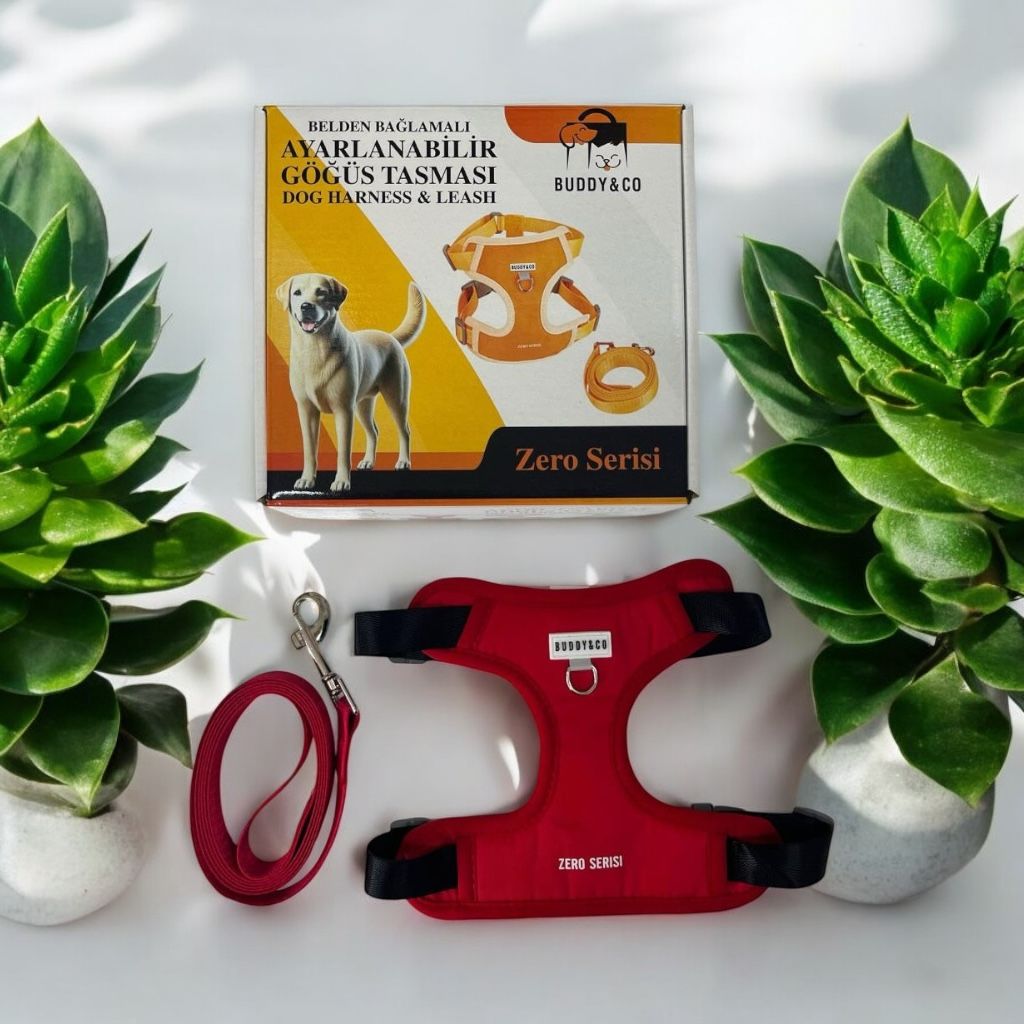 Buddy&Co Şerit Gezdirmeli Lüx Göğüs Tasması (S)