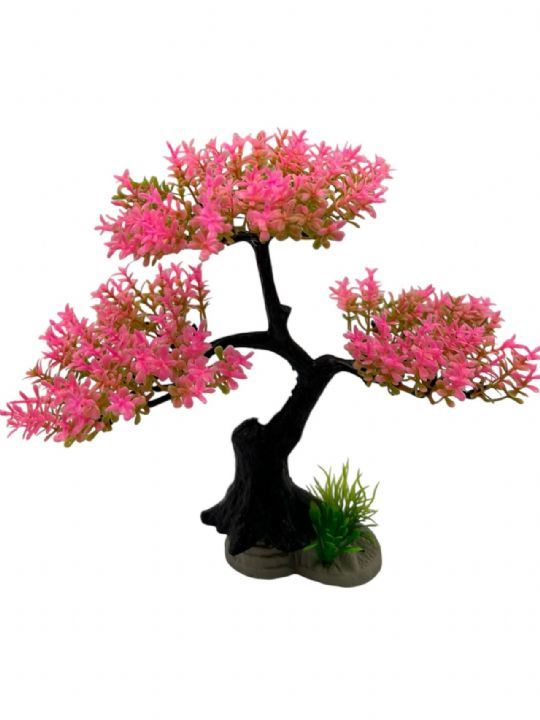 4000091 Bonzai Bitki 5 Farklı Renk