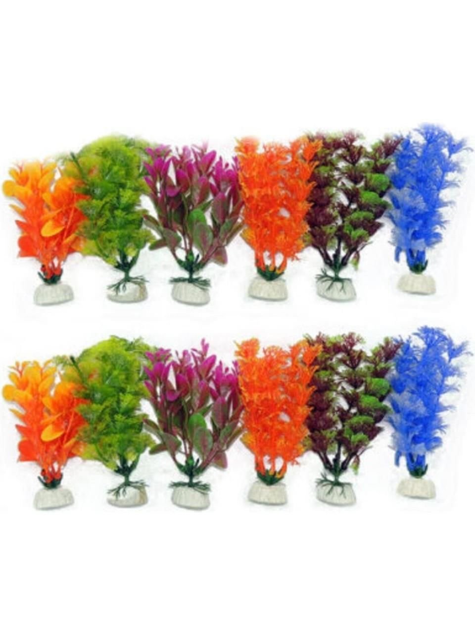 Plastik Fanus Bitkisi 10'lu