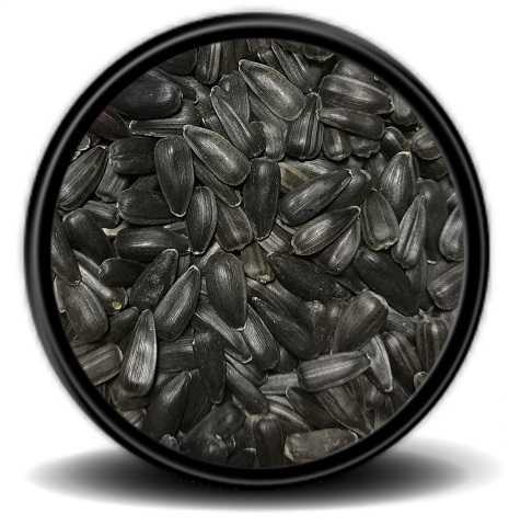 Vivid Siyah Çekirdek 20 kg