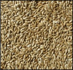 Vivid Aspur 1 Kg.