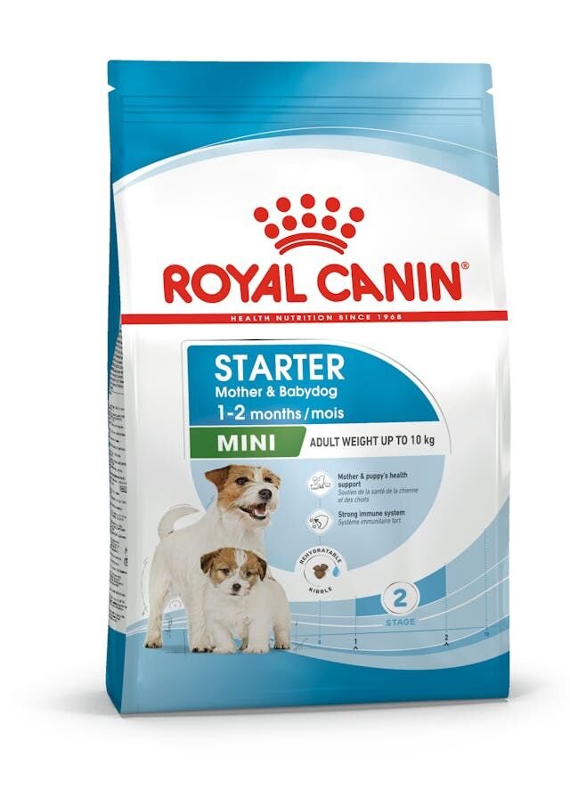 ROYAL CANİN SHN MINI STARTER M&B 4K