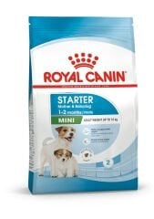 ROYAL CANİN SHN MINI STARTER M&B 4K