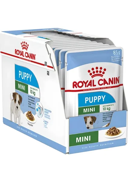 ROYAL CANİN SHN MINI PUPPY 12x85 G